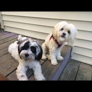 Meet your Posher, Hilton